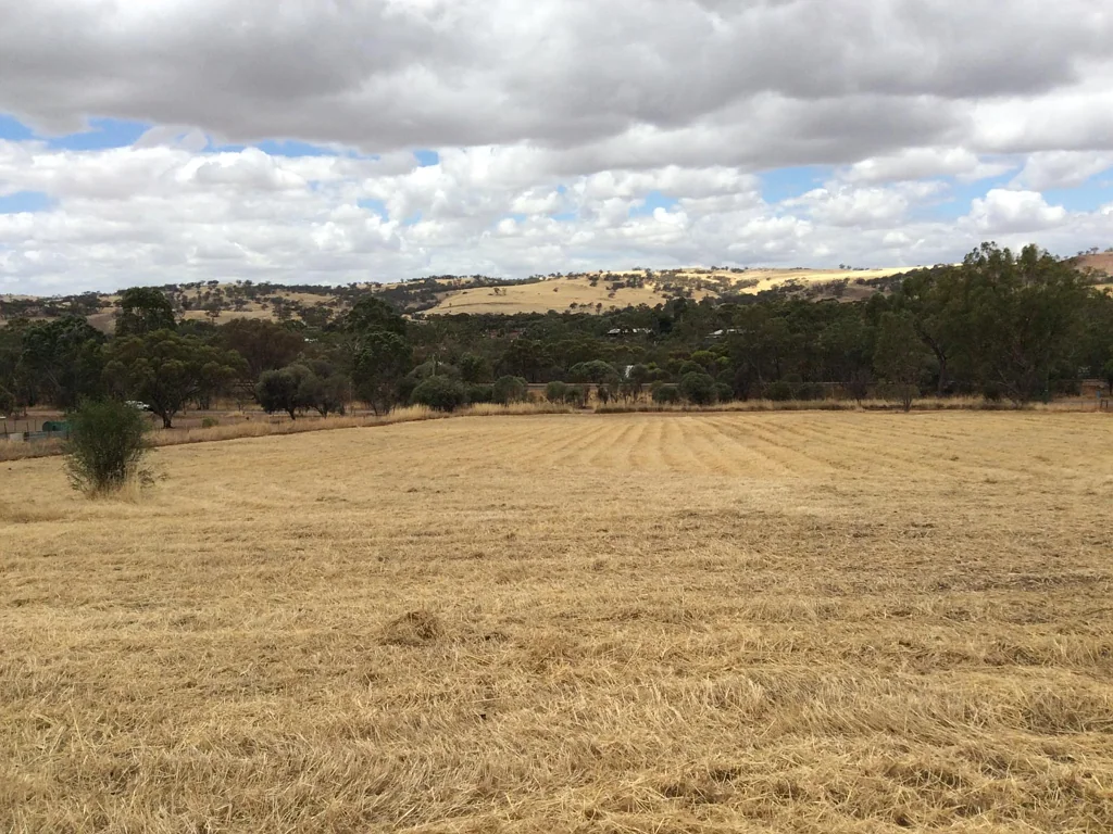 Toodyay BEST AT LAST !