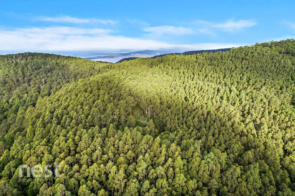 Middleton  Have You Ever Wanted to Run Away?