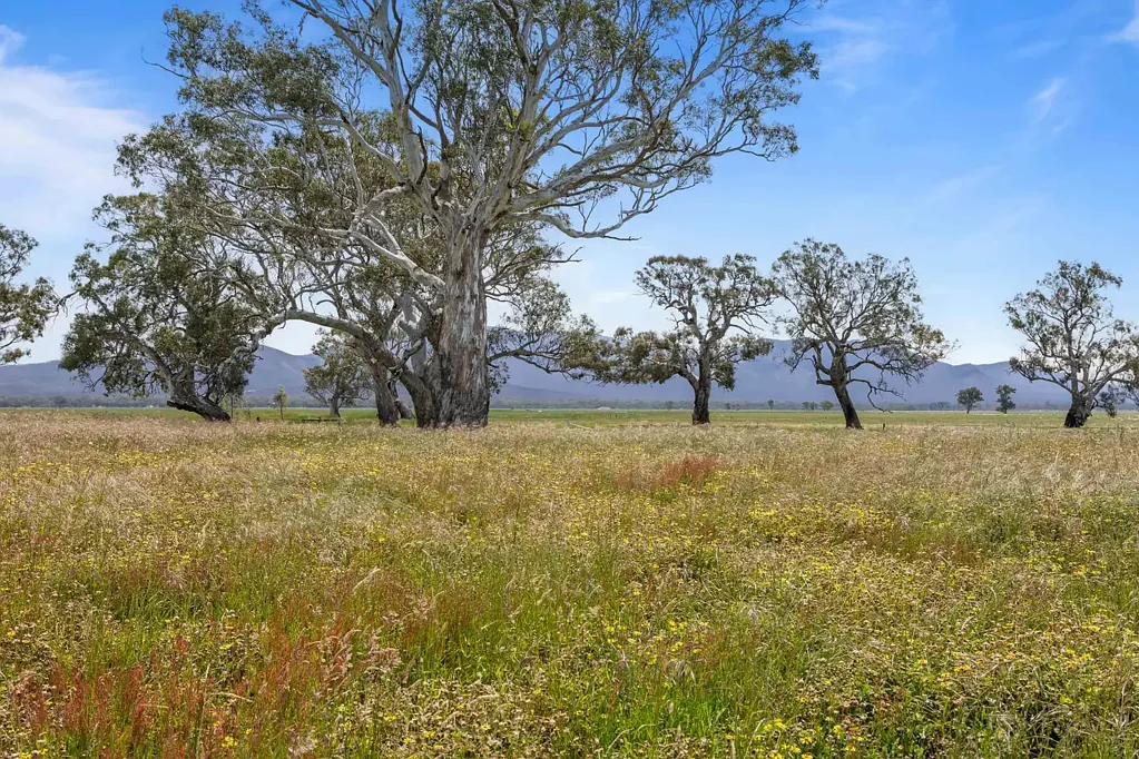 Willaura North Secluded 71-Acre Retreat with Breathtaking Grampians Views