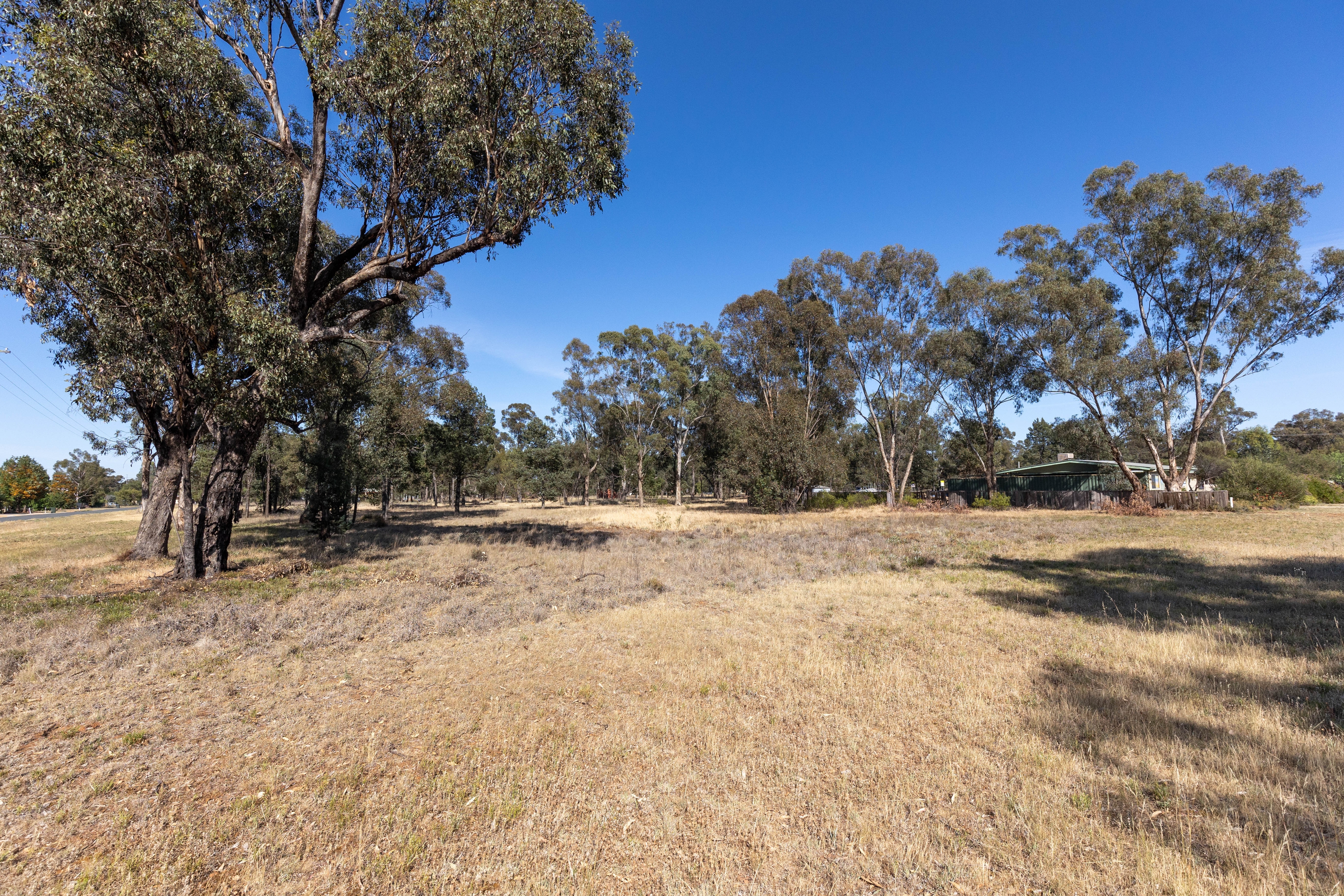 7 CLARENCE ST, BOREE CREEK NSW 2652, 0房, 0浴, Section