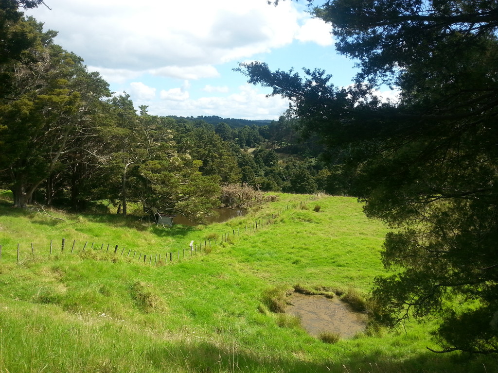 Paparoa-Oakleigh Road, Otamatea Surrounds, Kaipara, 0 રૂમ, 0 બાથરૂમ