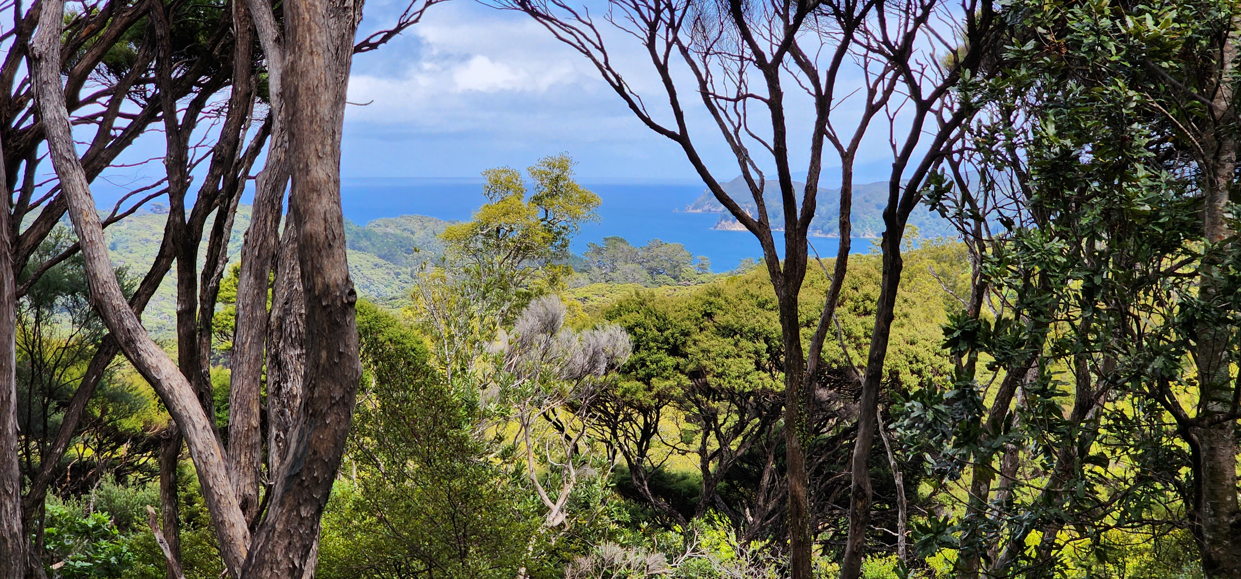 69 Cape Barrier Road, Great Barrier Island (Aotea Island), Auckland, 0 habitaciones, 0 baños, Lifestyle Section