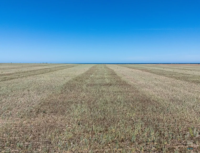 Lot 294 Gun Club Road, Koolywurtie, Barossa - Yorke - Mid North, 0 غرف, 0 حمامات, Lifestyle Property