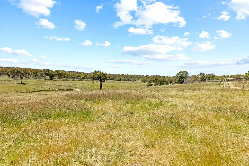 Bellmount Forest  Escape And Head For The Hills