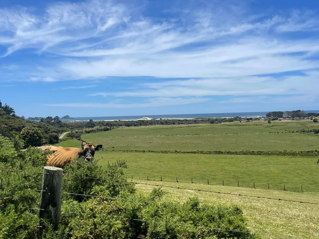 Great Barrier Island Location, Lifestyle and Views!