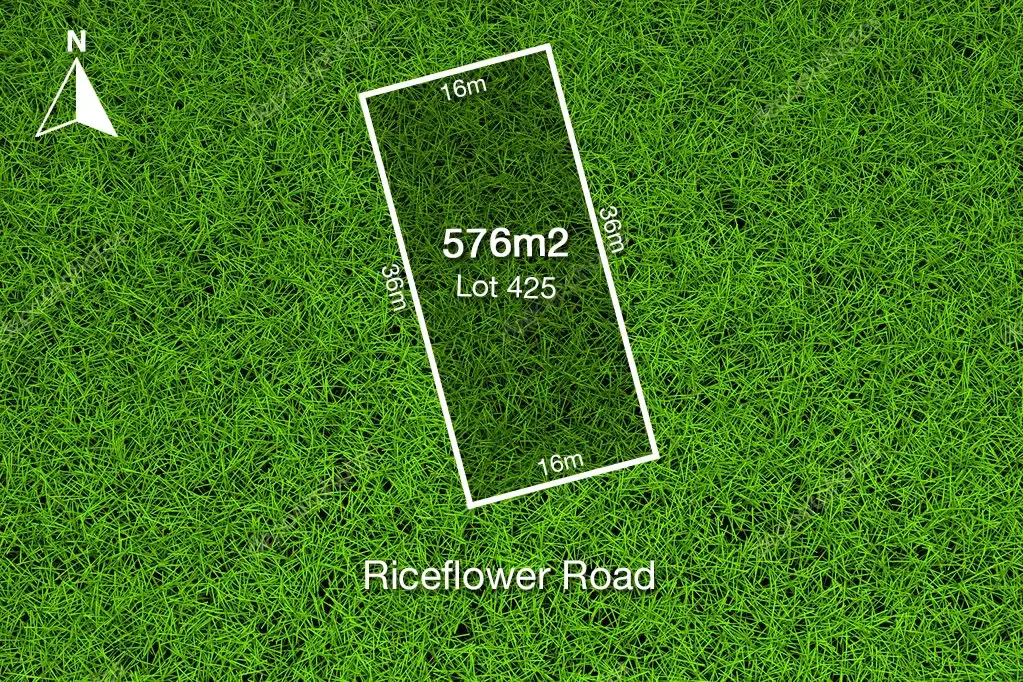 12 Riceflower Road, Bannockburn, VIC 3331