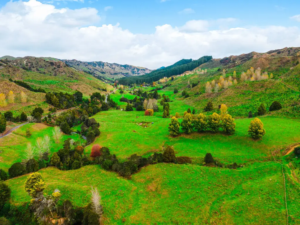 Taumarunui  Ideal first farm or extension opportunity