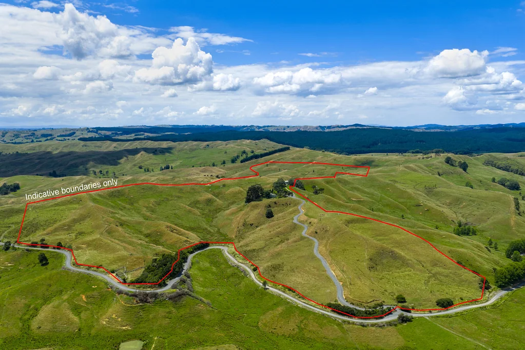 Te Akau Grazing opportunity