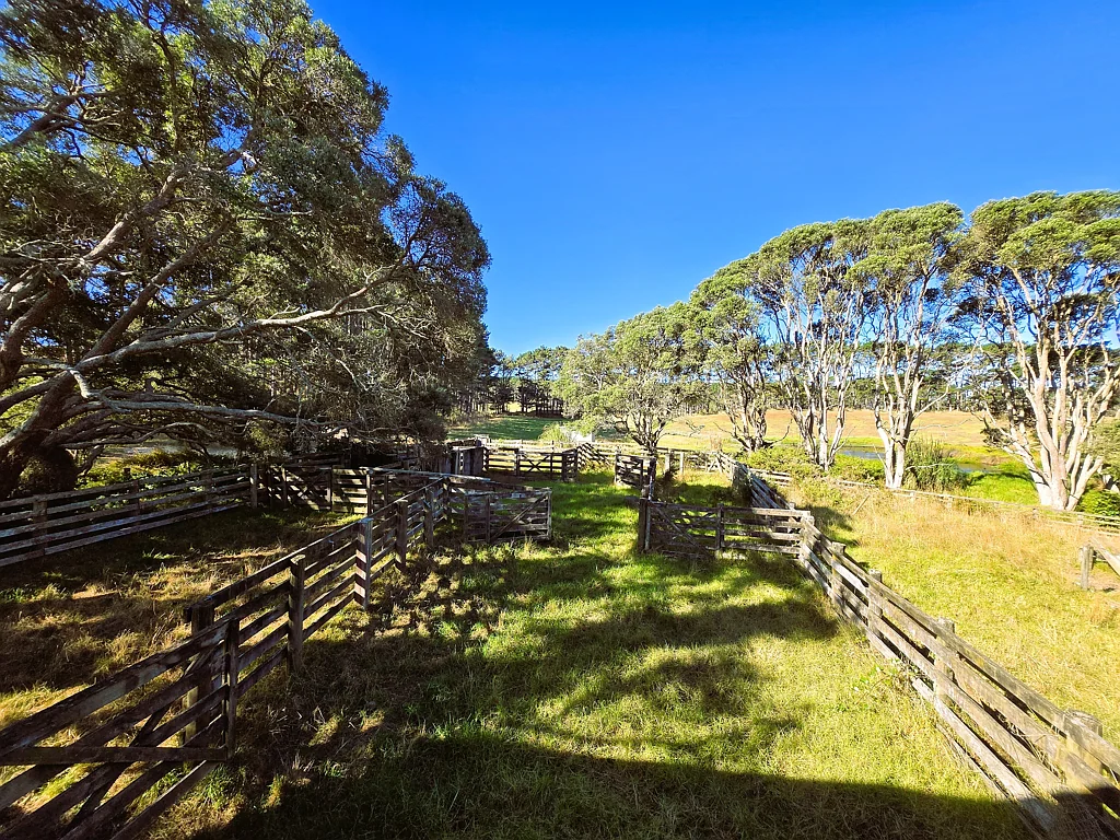 Dargaville  The Woolshed Block