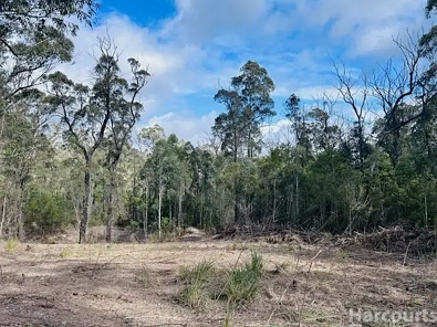 208 Blomfield Road, Yarrowitch, NSW 2354, 0 slaapkamers, 0 badkamers, Lifestyle Section