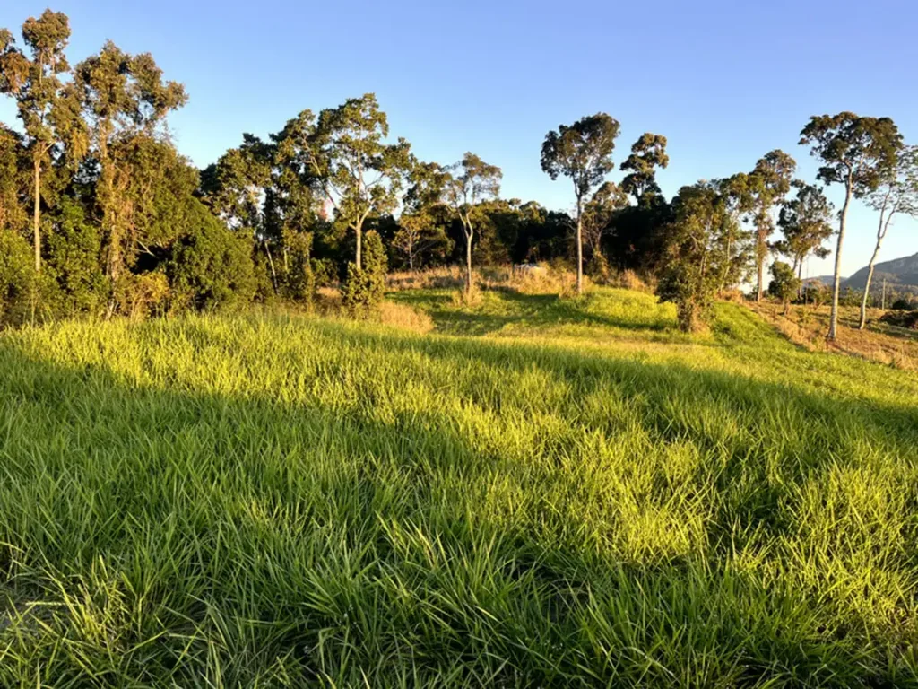 Ball Bay 28 Acres, No Neighbours and Nature All Around