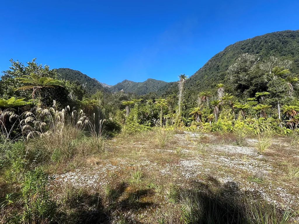 Franz Josef Glacier Hidden away on Batson Place