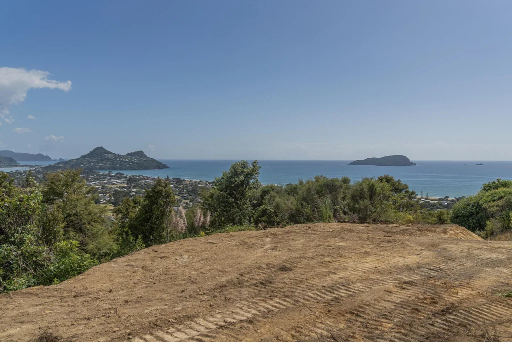 Pauanui Priced to Sell