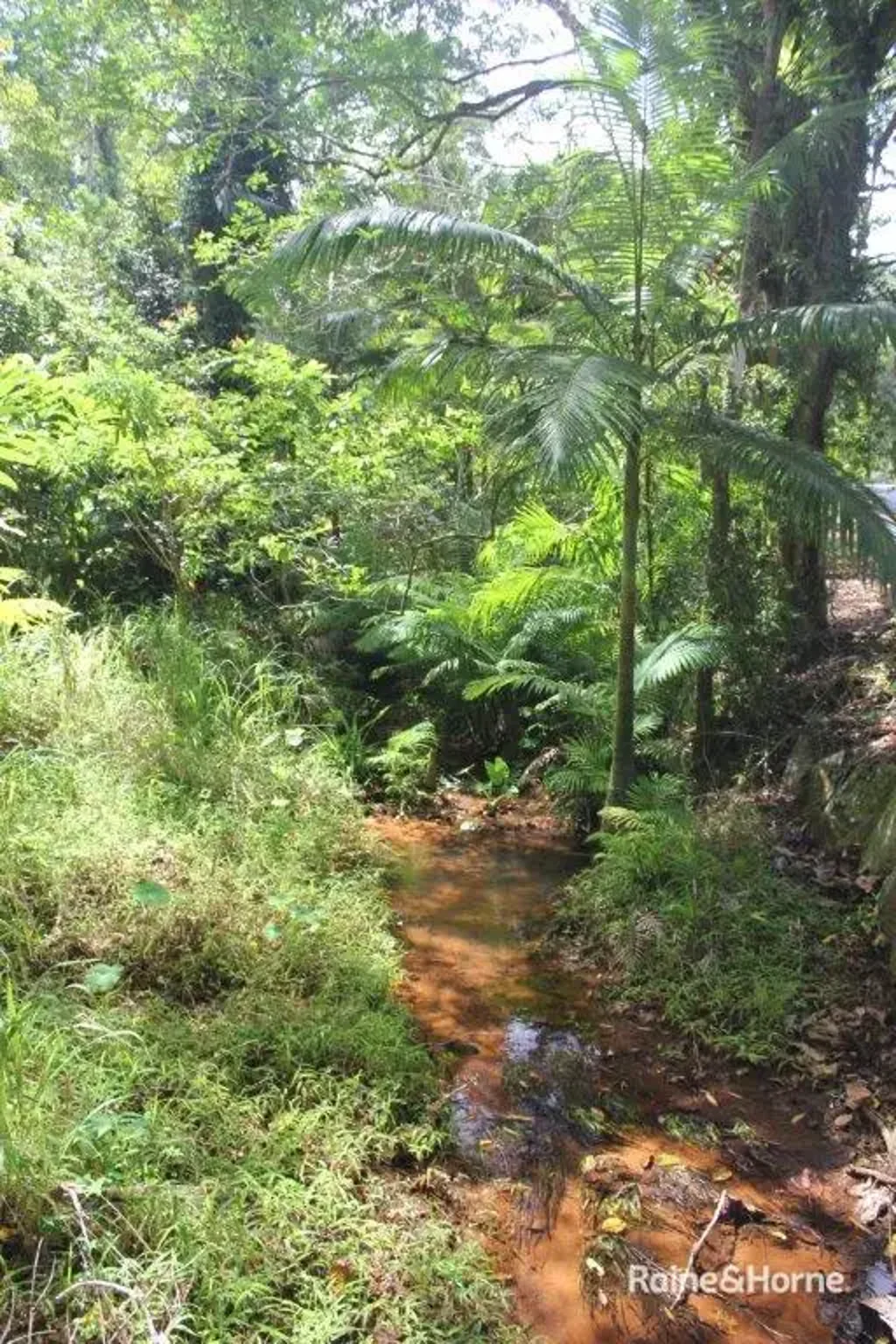 Daintree PRIME POSITION | VACANT LAND - DIWAN, DAINTREE