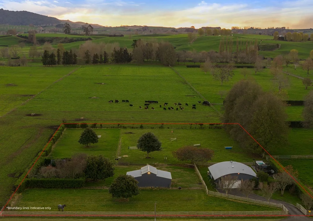 Matamata Designed for equine enthusiasts