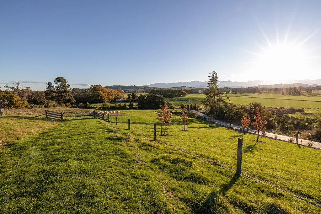 Masterton Views that rise above