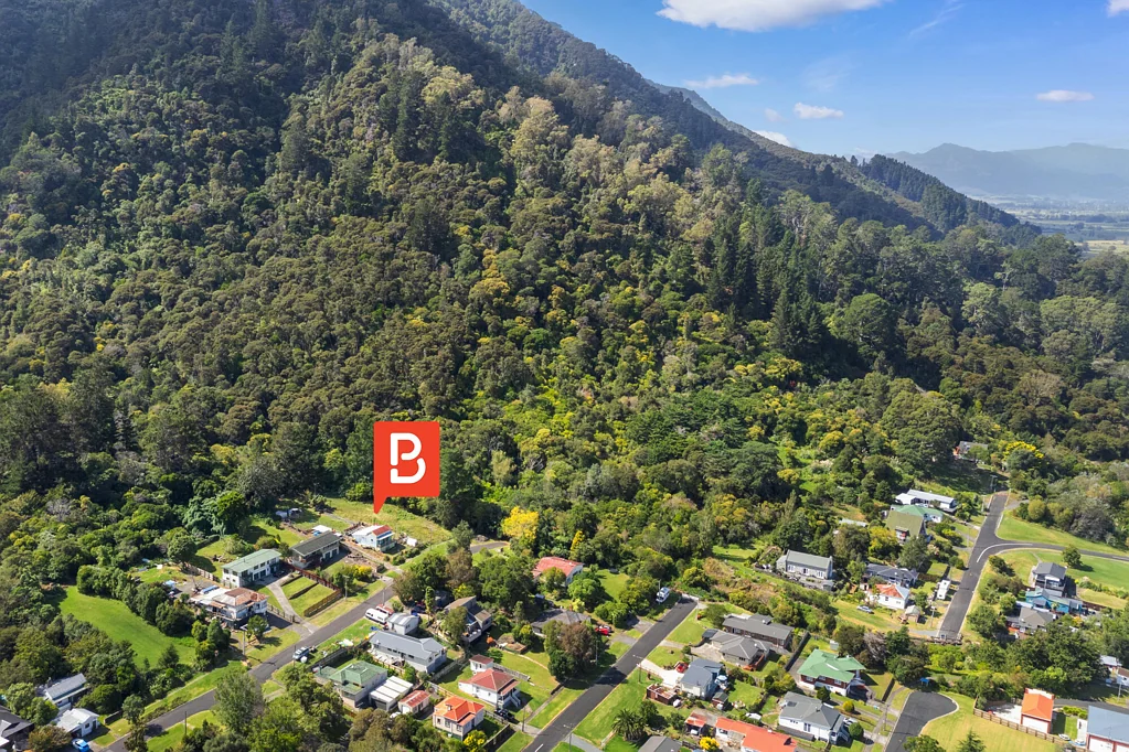 Te Aroha  Views, Value & Vision