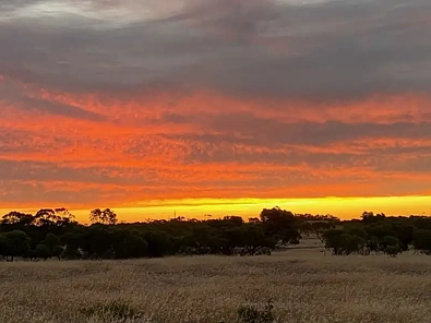 Streaky Bay  Bush acreage with sheds
