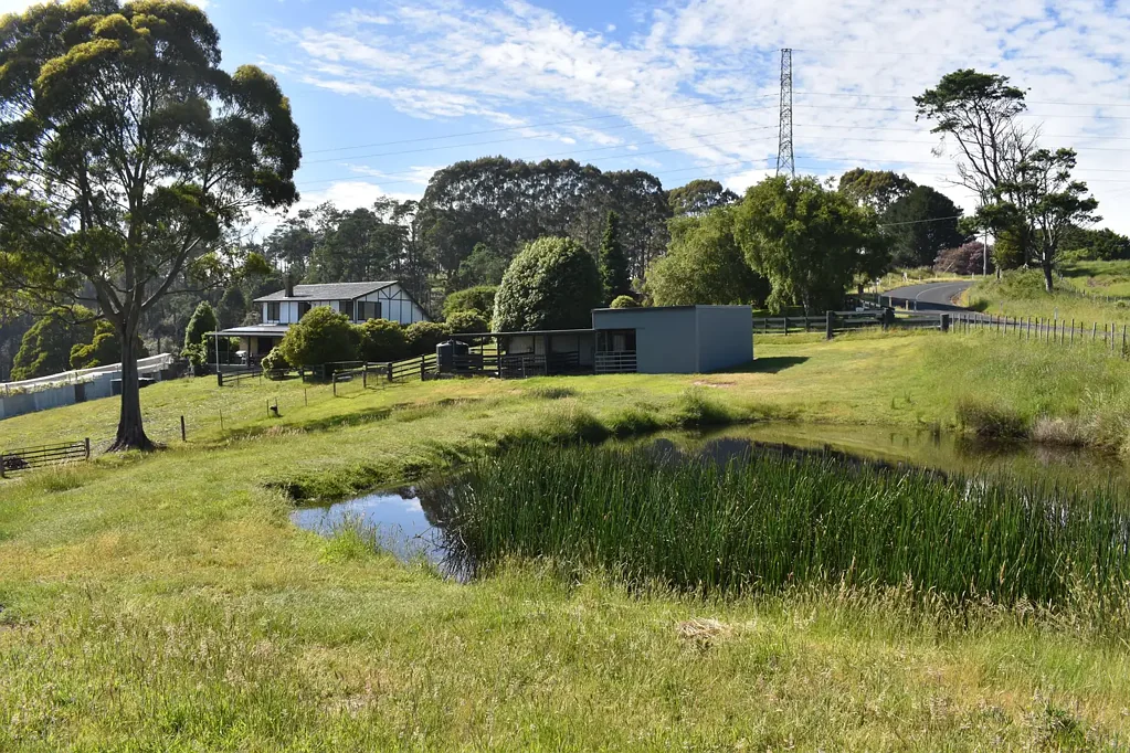 Holwell Lifestyle/Small Farm Property
