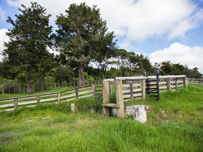 Kirikopuni Valley Road, Tangiteroria, Kaipara, 0房, 1浴