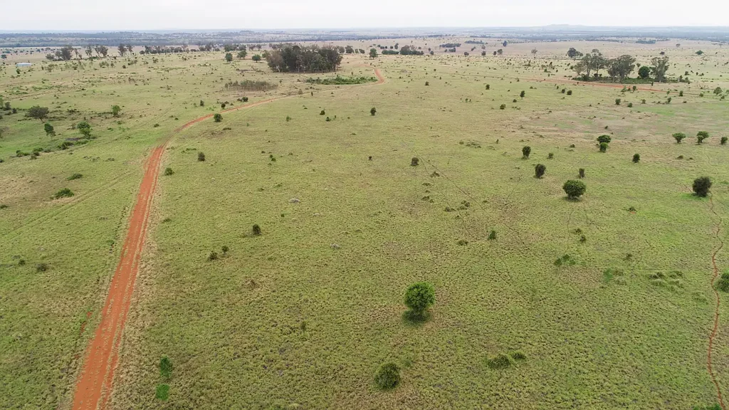 Roma ACO Certified Organic - Immaculate Roma District Property