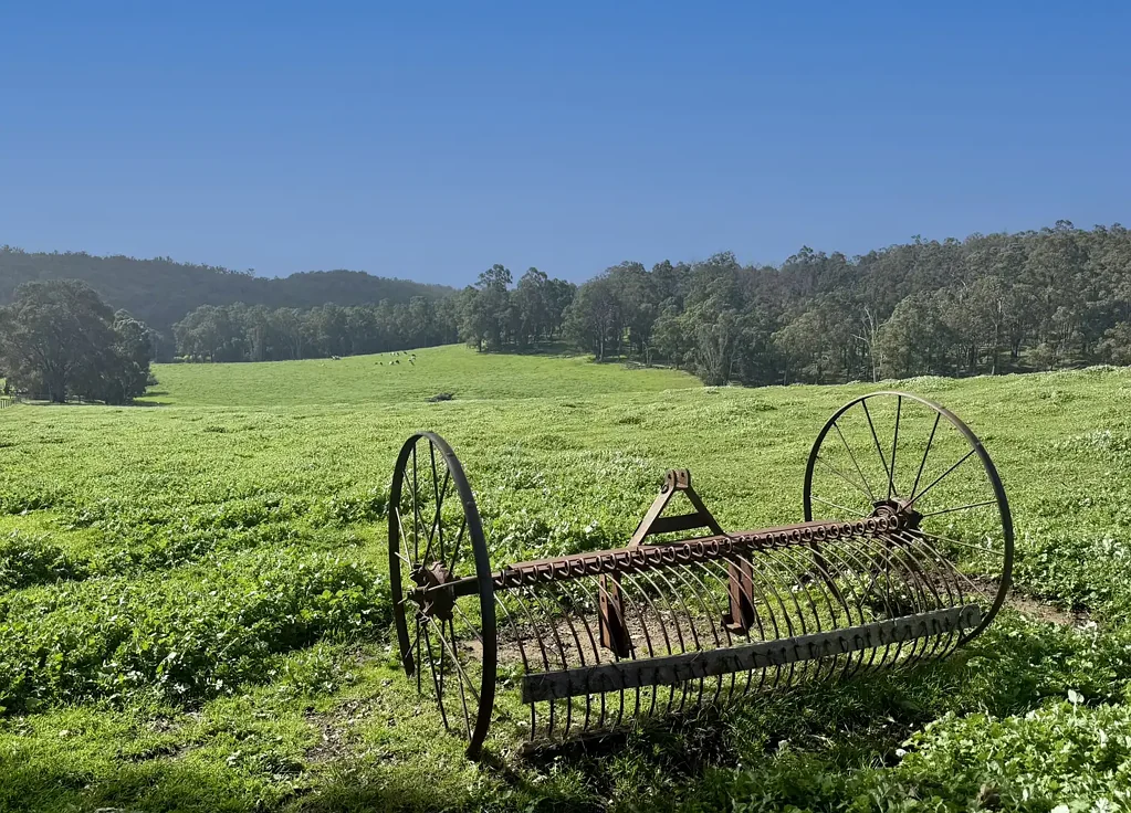 Ferguson 282 acres with private airstrip