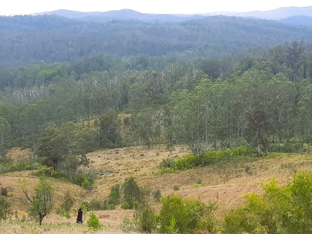  Doyles River Road, Debenham, NSW 2446