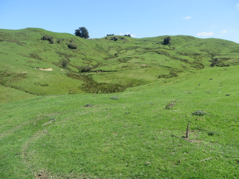 3475 State Highway 1, Hunterville, Rangitikei, 3 Bedrooms, 0 Bathrooms