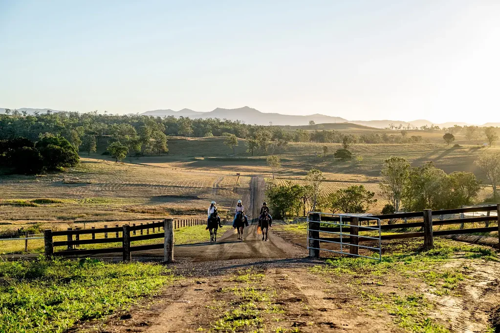 Coleyville "Coleyville Rise"  - A New Beginning for your Family's Country Dream