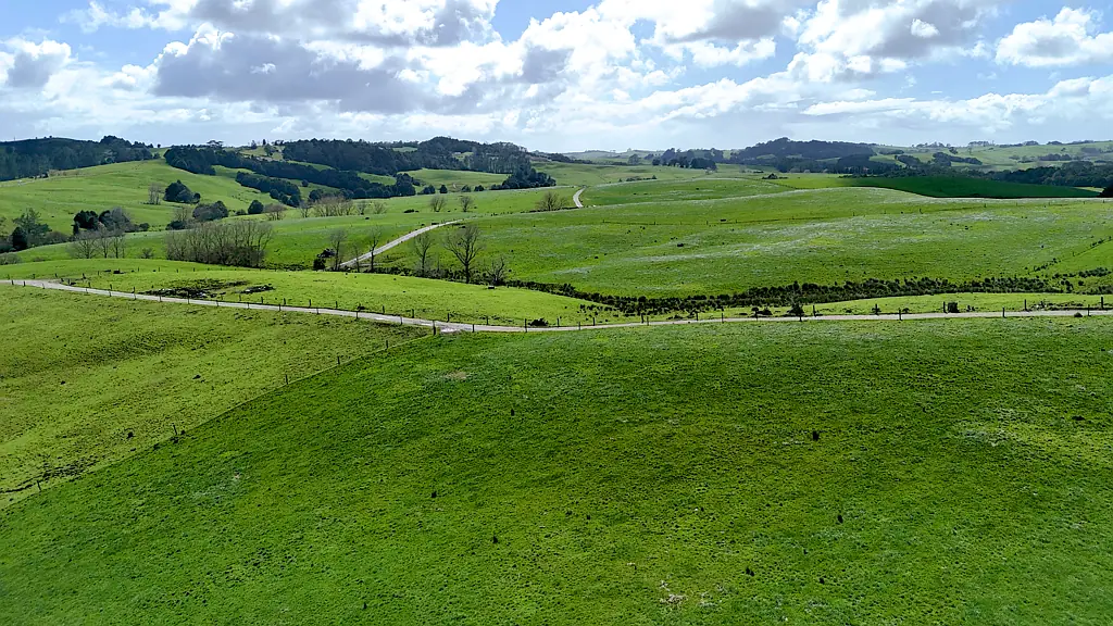 Wellsford  Exceptional Dairy Opportunity in Tomarata