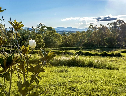 Lot 3 Blumberg Street, Boonah, Scenic Rim Region, 0 રૂમ, 0 બાથરૂમ, Section