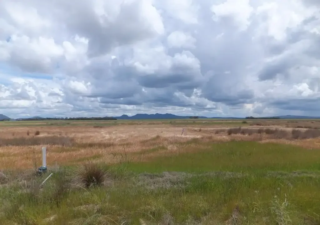 LOT 610 Daviesia Drive, Hopetoun, WA 6348