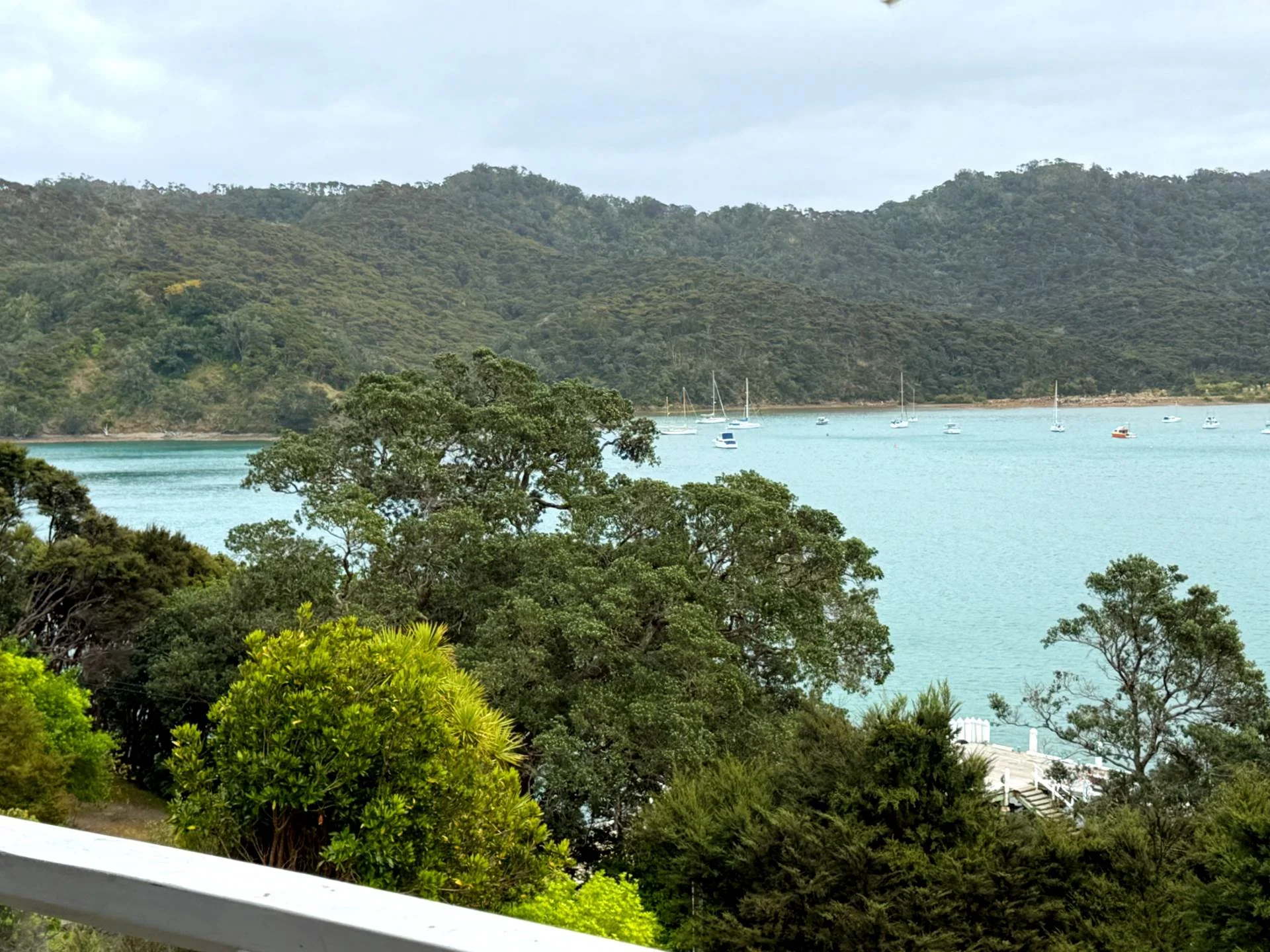 773 Whangaparapara Road, Great Barrier Island, photo 9