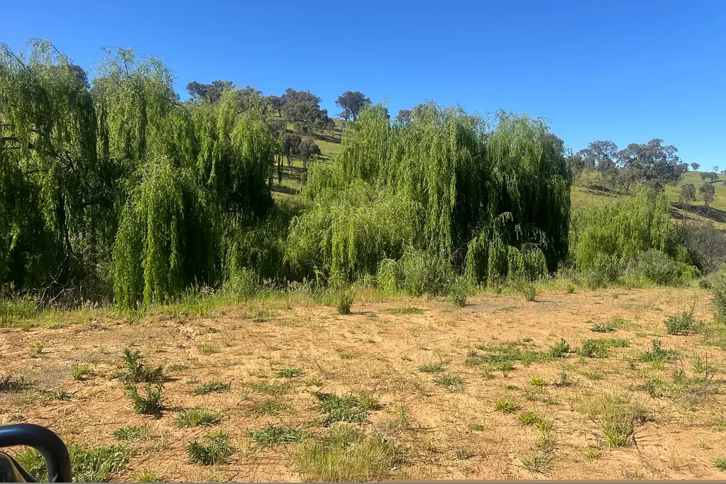 Bethanga  Elevated Block With Planning Permit.