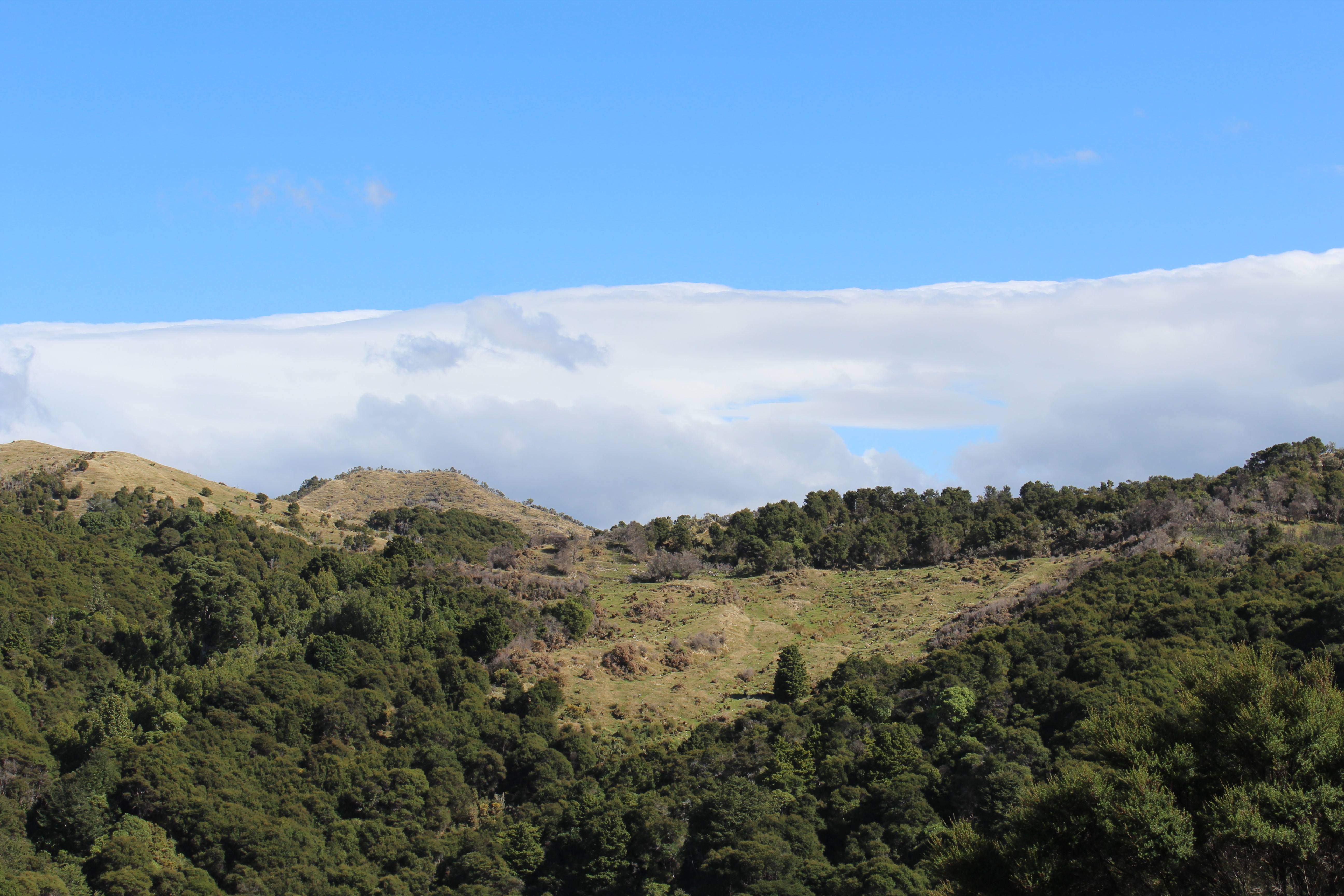 299 Branscombe Road, Pongaroa, Tararua, 0房, 0浴, Grazing