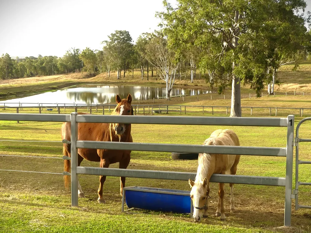 Boonah Lifestyle - Equine - Grazing - Recreation - 95 km Brisbane