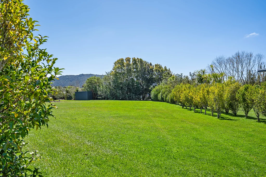 Mangawhai Heads  A Perfect Canvas