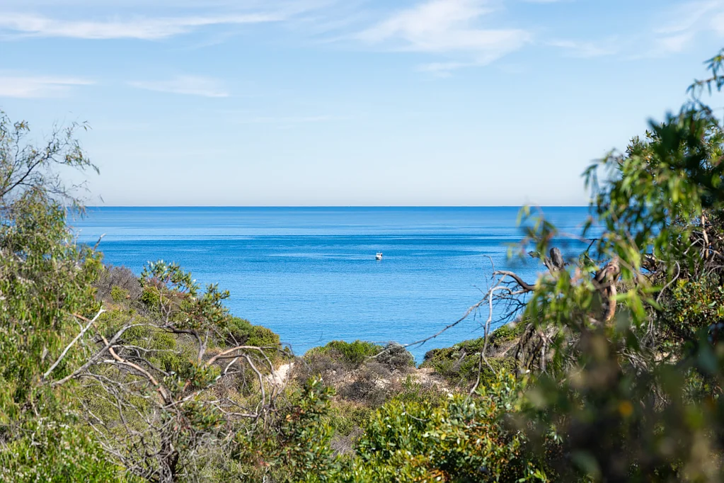 Peppermint Grove Beach  Your "Down South" Story Awaits