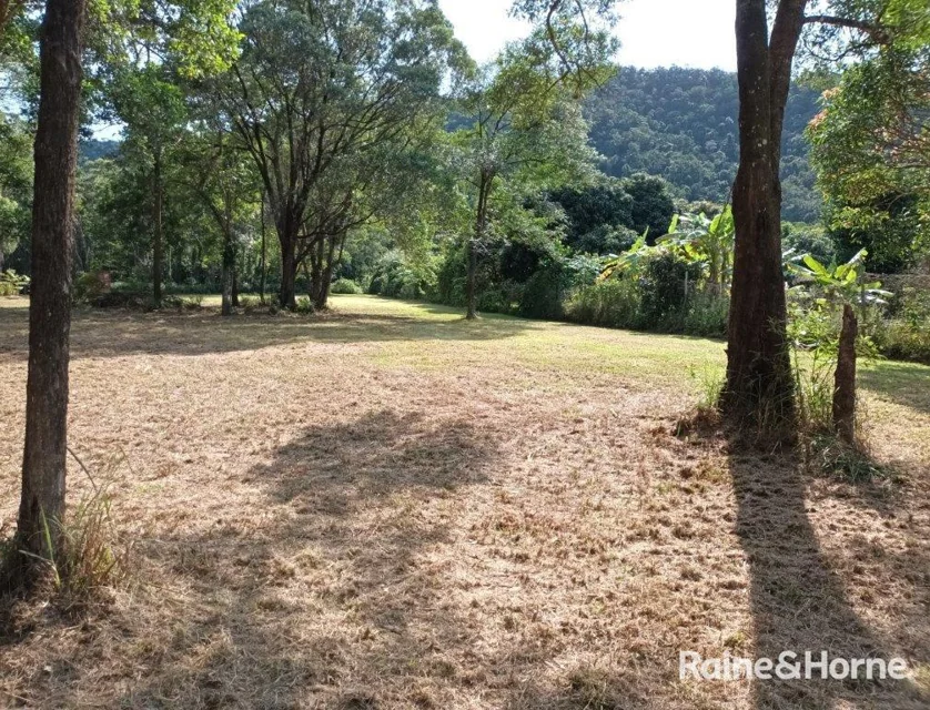 Lot 54 George Road, Forest Creek, Daintree, Cairns, 0 રૂમ, 0 બાથરૂમ, Section
