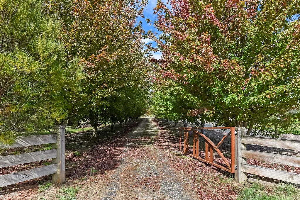 Neerim South Dream Lifestyle Opportunity Awaits