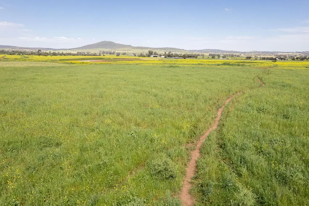 Gunnedah Build your dream home.