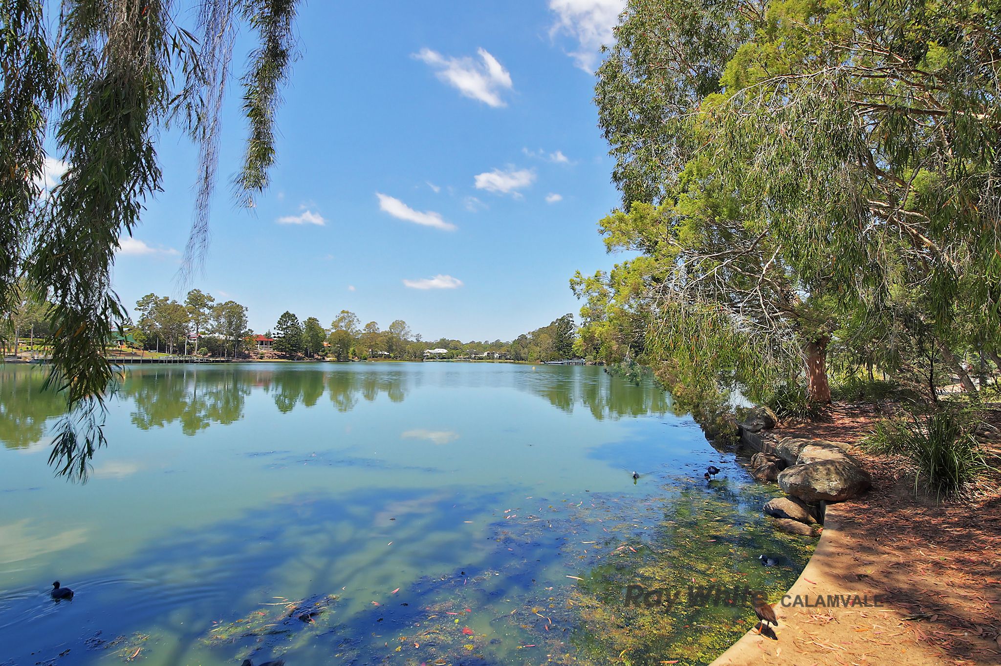 36 WIVENHOE CCT, FOREST LAKE QLD 4078, 0 રૂમ, 0 બાથરૂમ, House