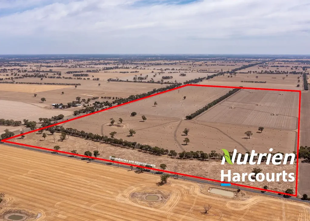 Springhurst  128 Ha "Dinsdales" 317 Ac