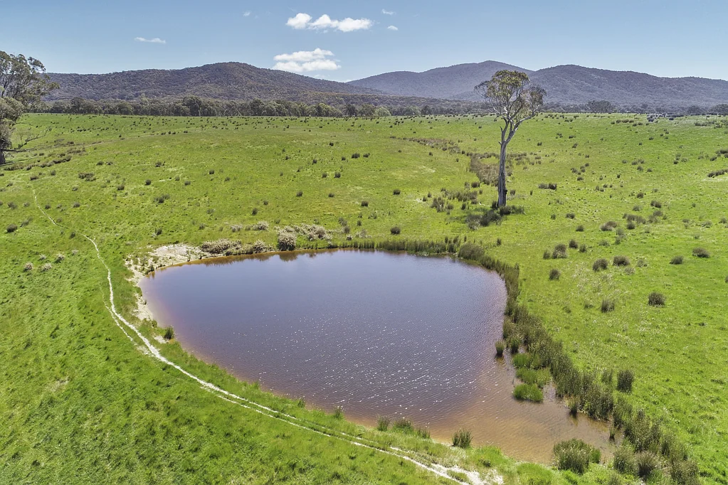 Maindample 100 ACRES WITH POSTCARD VIEWS IN EVERY DIRECTION
