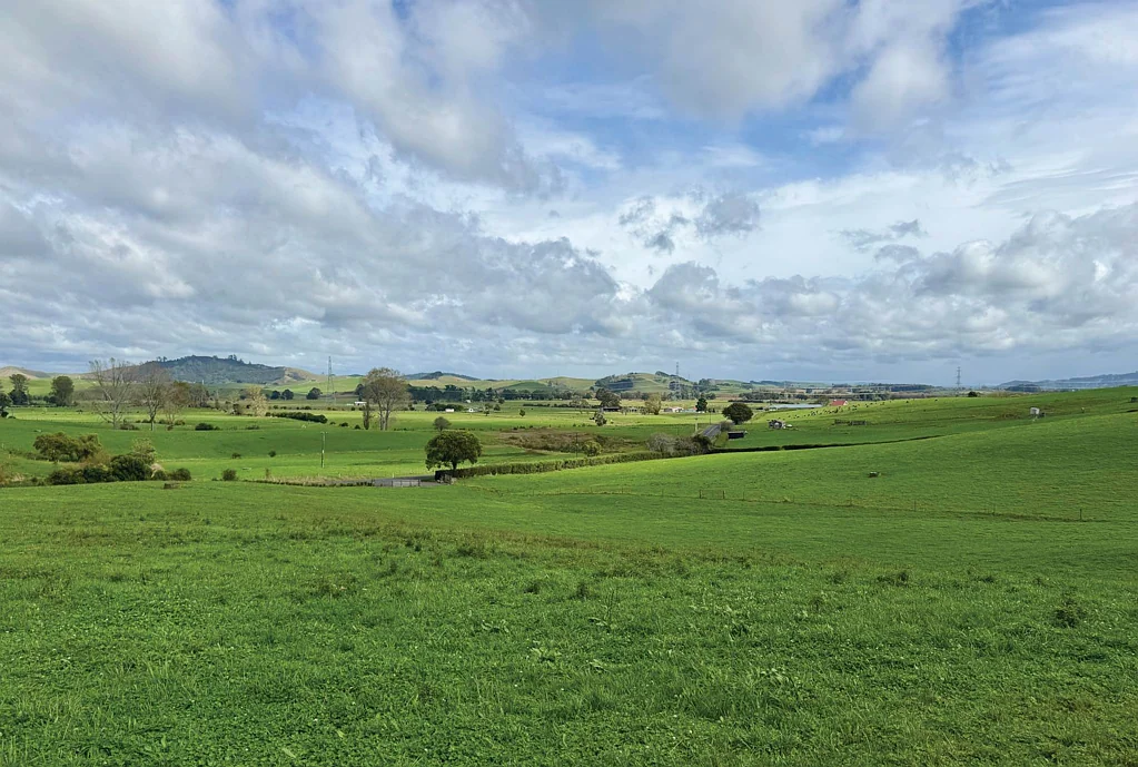 Waerenga BUY LAND - THEY'RE NOT MAKING IT ANYMORE