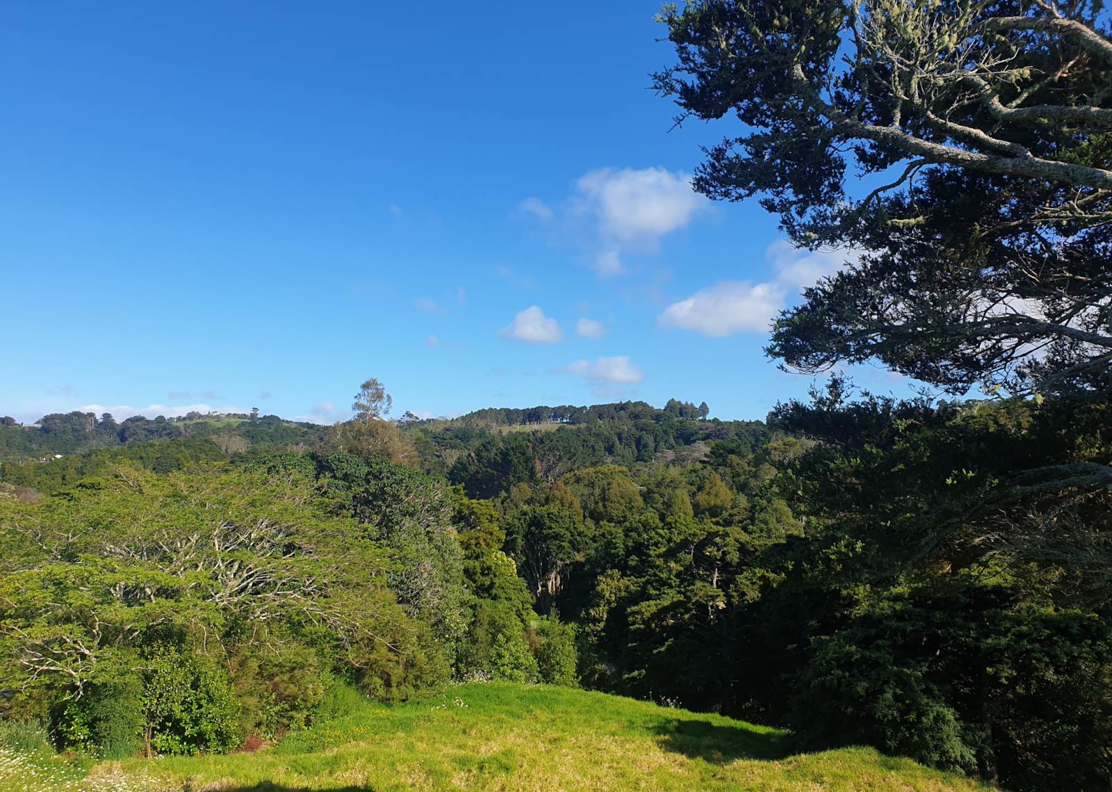 10 Sunset Parade (Pvt), Parua Bay, Whangarei, 0房, 0浴, Section