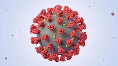 纽约州长:抗体测试显示纽约或270万人感染新冠病毒