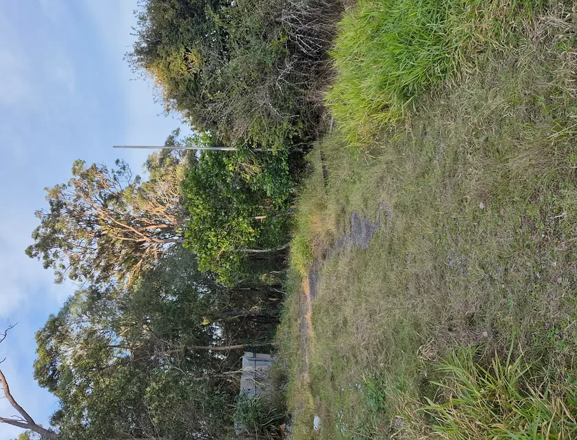 145-153 Loganview Road, Logan Reserve, QLD 4133, 0 chambres, 0 salles de bain, Section