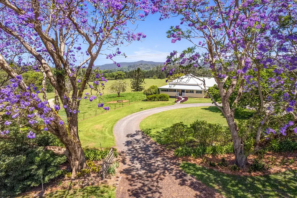 102 North Bank Road, Bellingen, NSW 2454