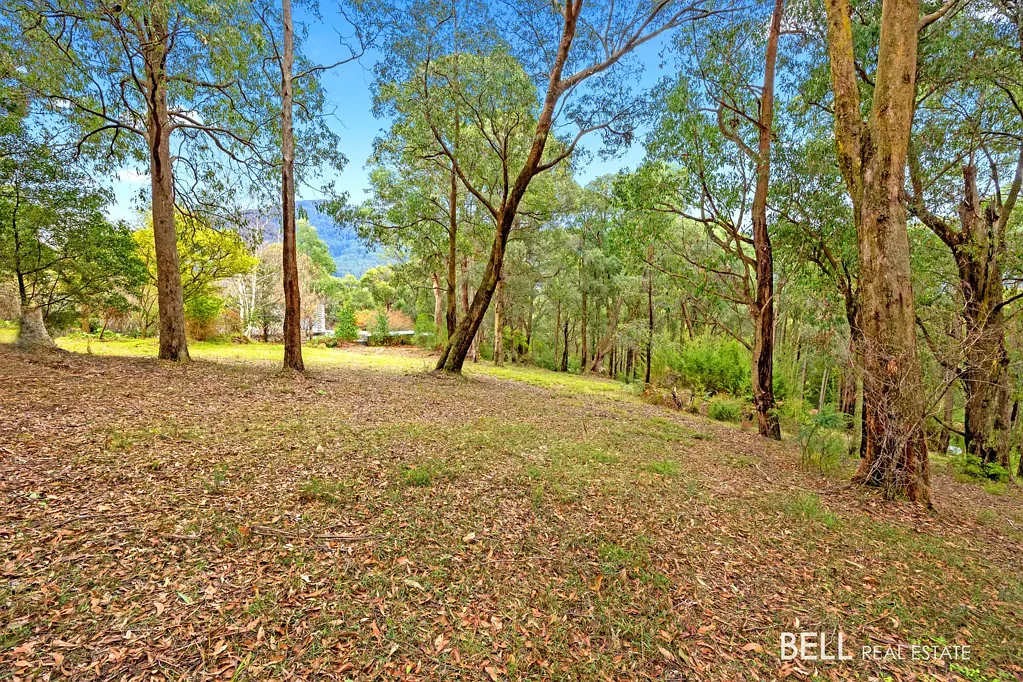 East Warburton Over 1900sqm of affordable vacant land
